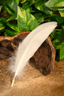 Ganzenveer White, 15-21 cm