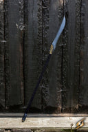 LARP Centinela lanza