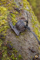 Leather holster hook for LARP sword, black