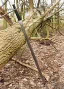 Scottish lowlander William Wallace, semi-sharp