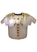 Lorica segmentata Newstead, 1.2 mm