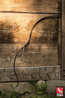 Recurveboog donkerbruin, 118 cm, 24-26 lbs