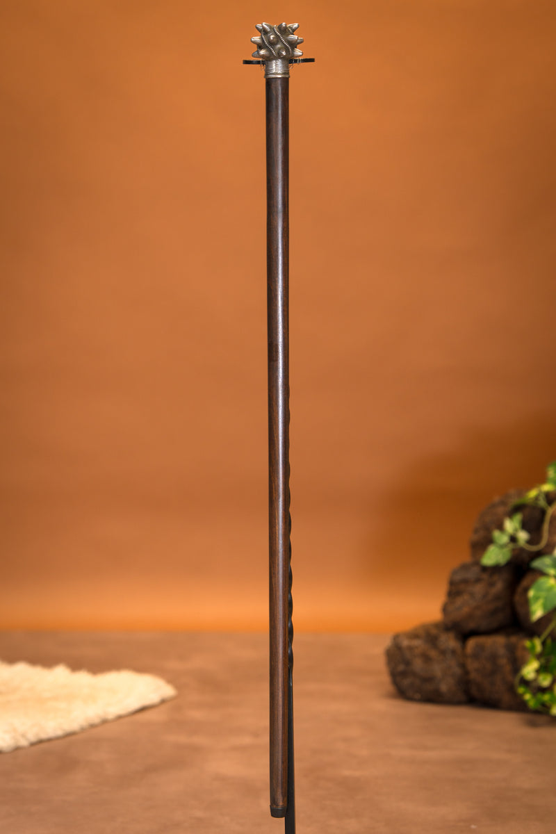 Normandische knots wandelstok