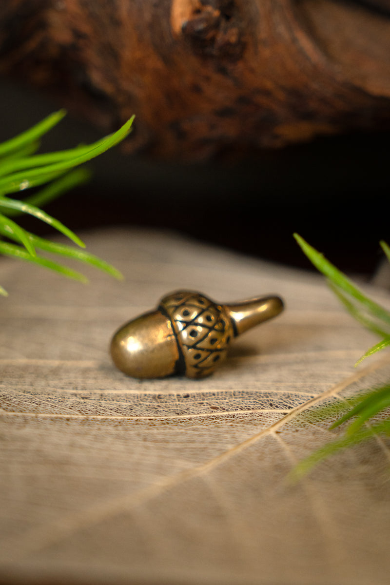 Bottoni a ghianda del XV secolo, set di cinque pezzi, bronzo 