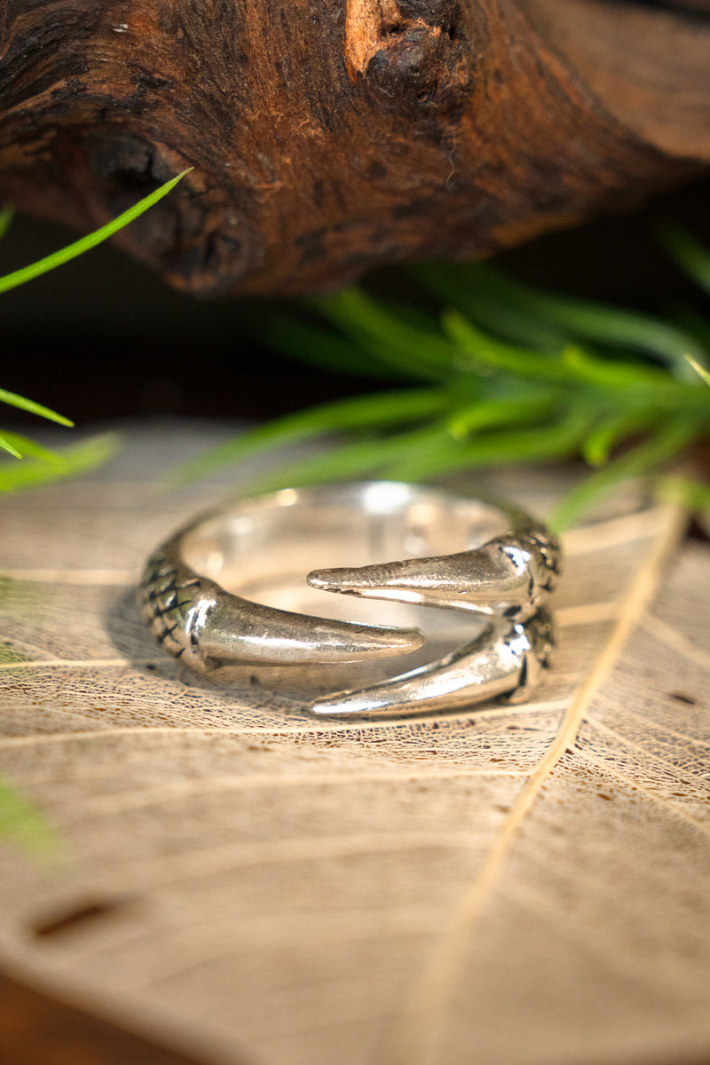 Ring met drakenklauw, verzilverd brons
