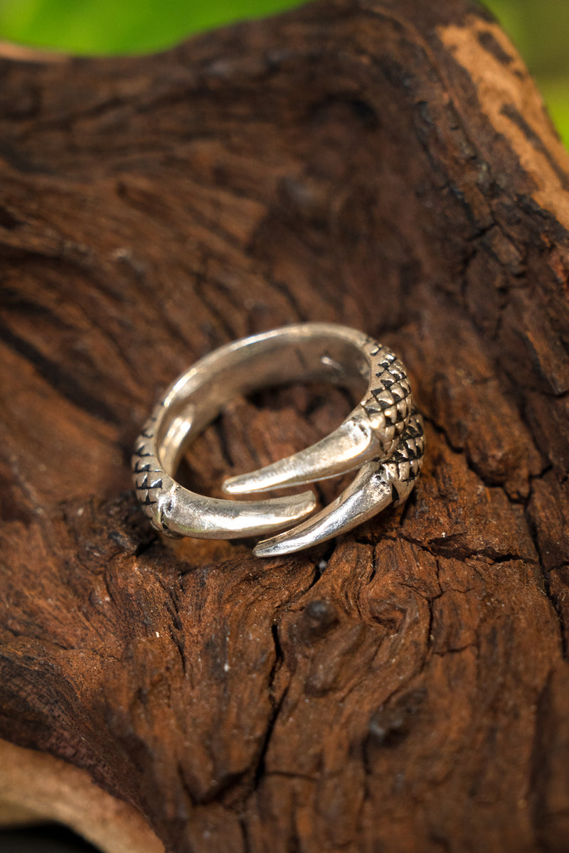 Ring met drakenklauw, verzilverd brons