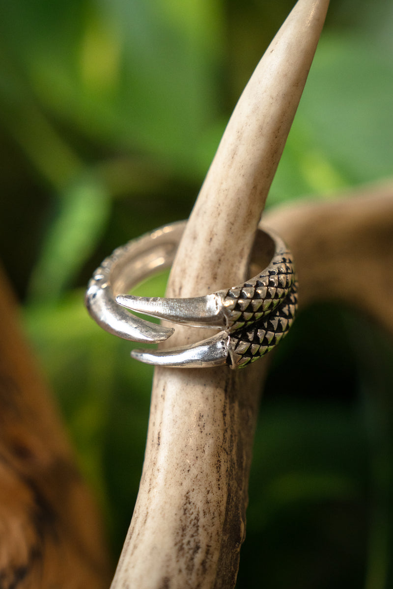 Ring met drakenklauw, verzilverd brons