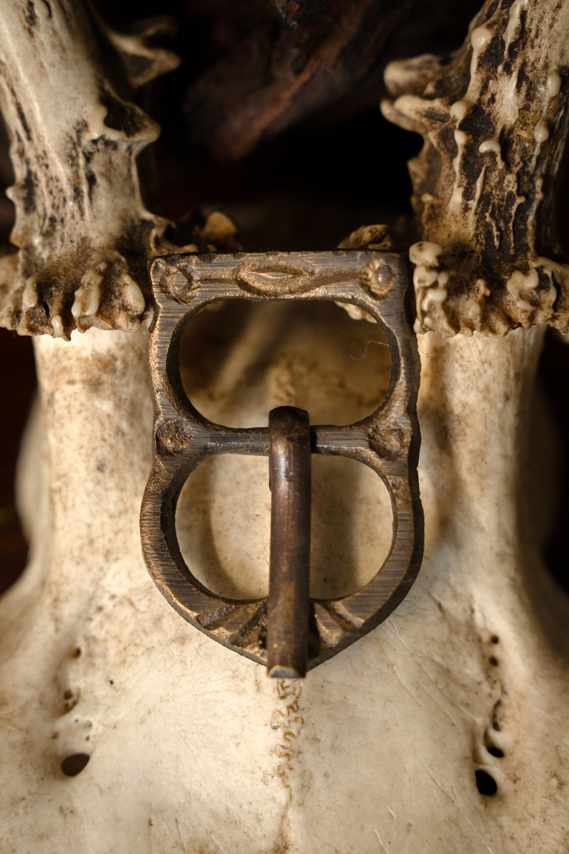 boucle normande du XIIe siècle 