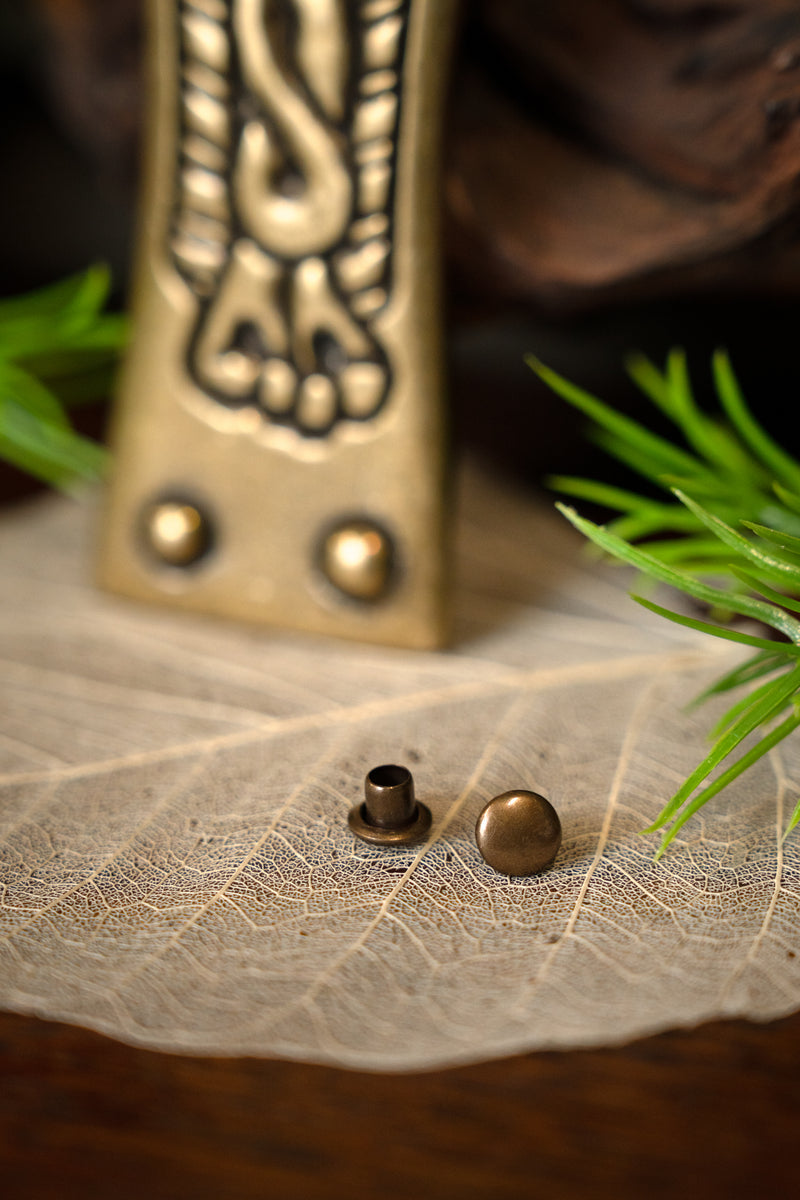 6:e-7:e århundradet Alamannisk bältesbeslag 