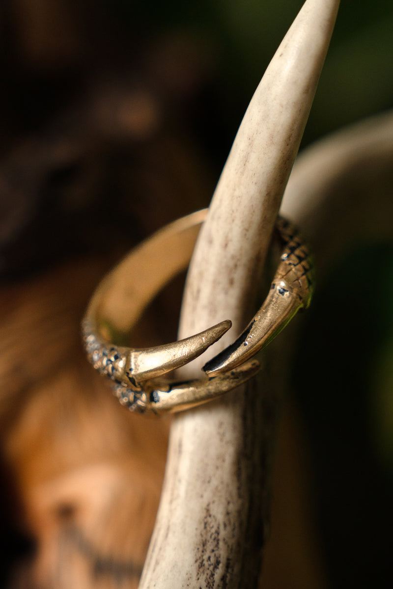 Ring met drakenklauw, brons