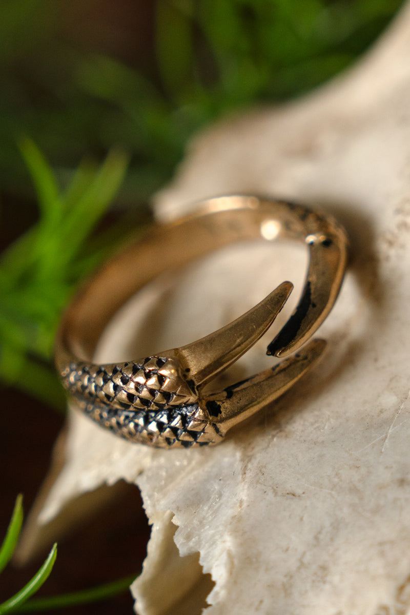 Ring met drakenklauw, brons