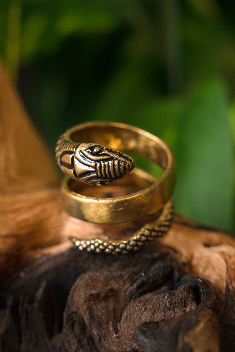 Roman snake ring, bronze
