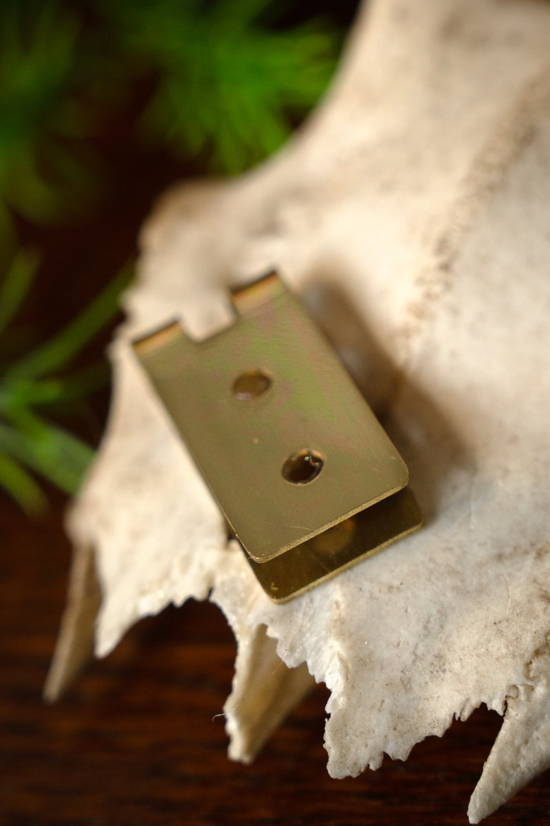 Gespplaatje 2 cm, brons