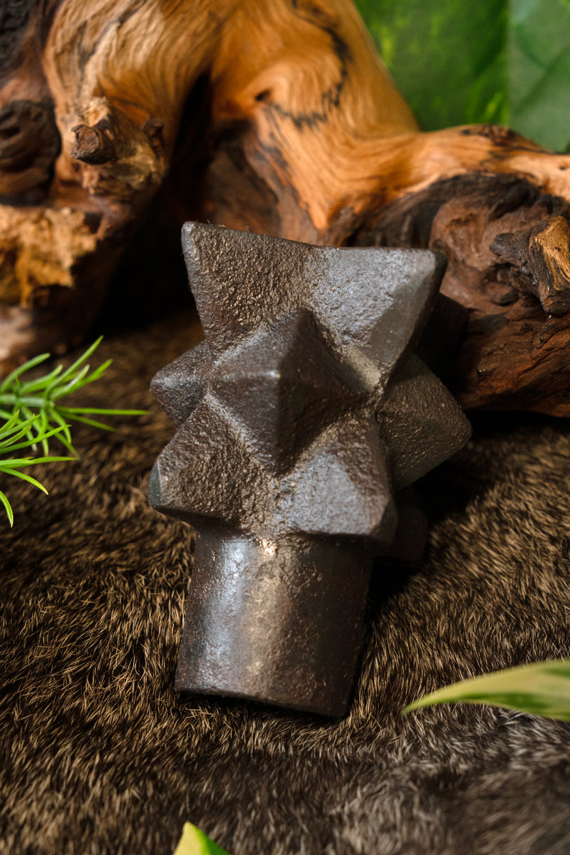 Normannische Keulenkopf 