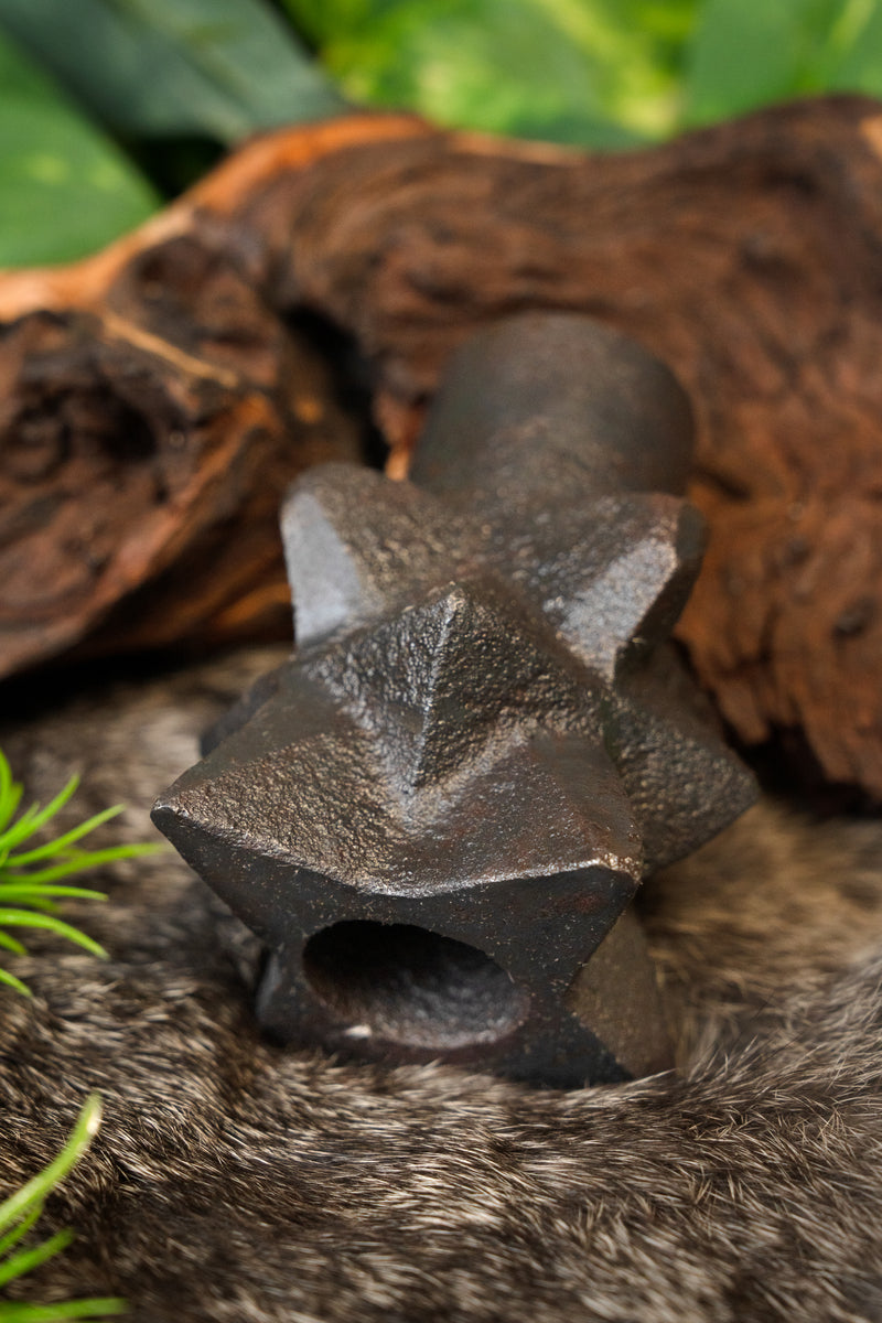 Normannische Keulenkopf 