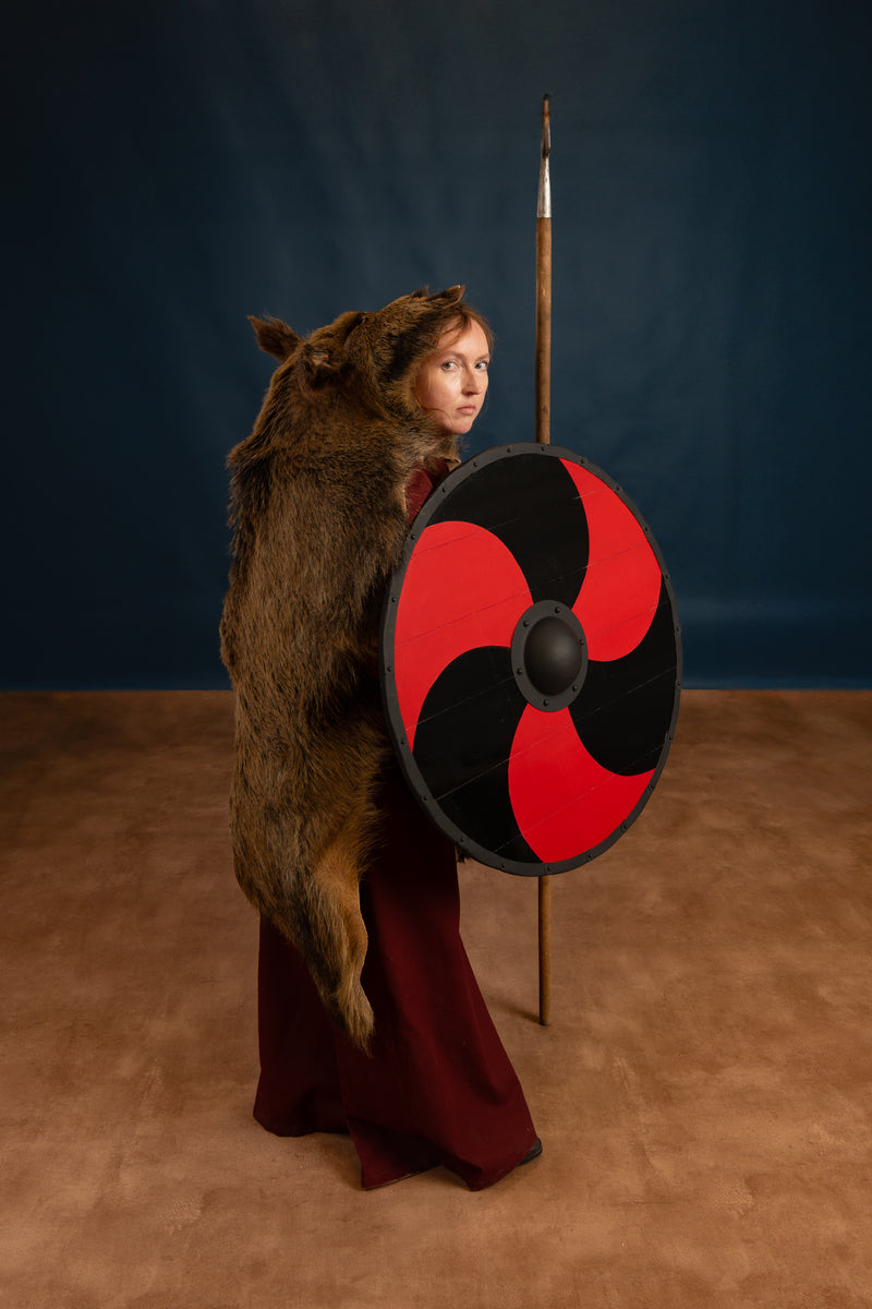 Viking skydda Ragnar 