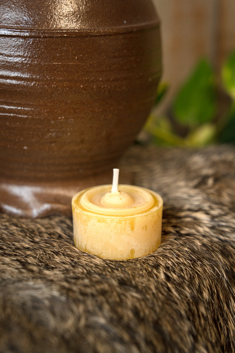 Bivoks -tealights, sæt af 10