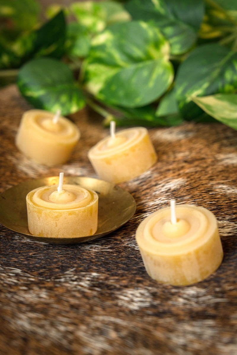 Bivoks -tealights, sæt af 10