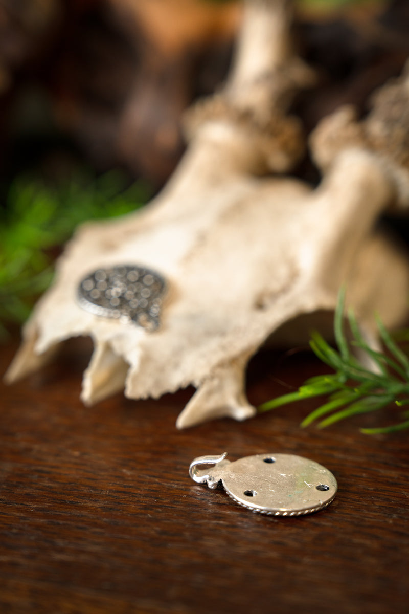 Viking mantelsluiting Birka, verzilverd brons