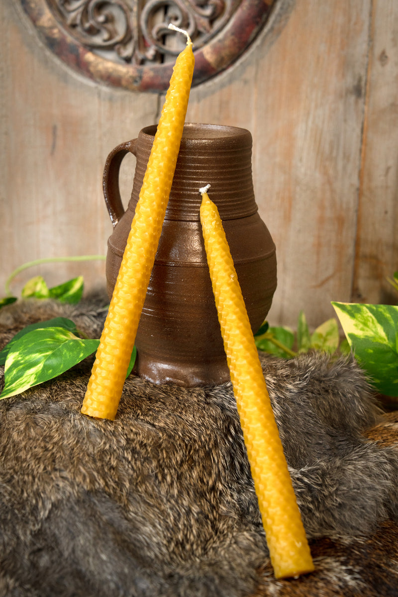 Vela de cera de abeja enrollada 24 cm, set de 7 