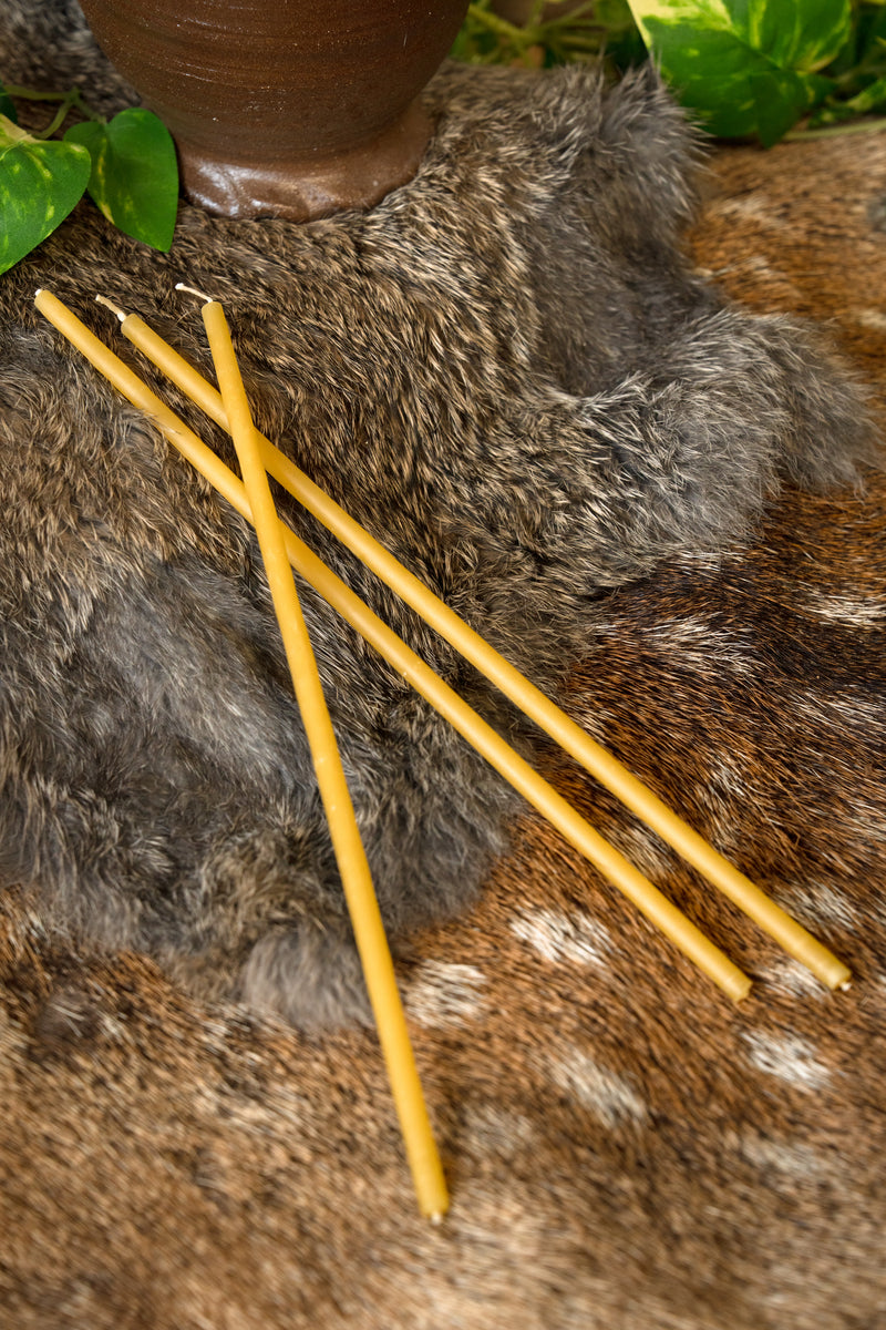 Gedompelde bijenwaskaars 25 cm, set van 60