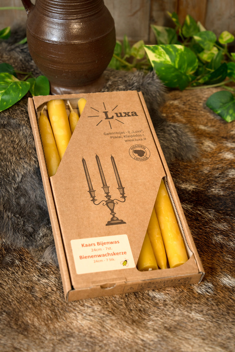 Gedompelde bijenwaskaars 24 cm, set van 7