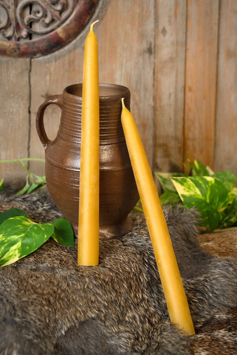 Gedompelde bijenwaskaars 24 cm, set van 7