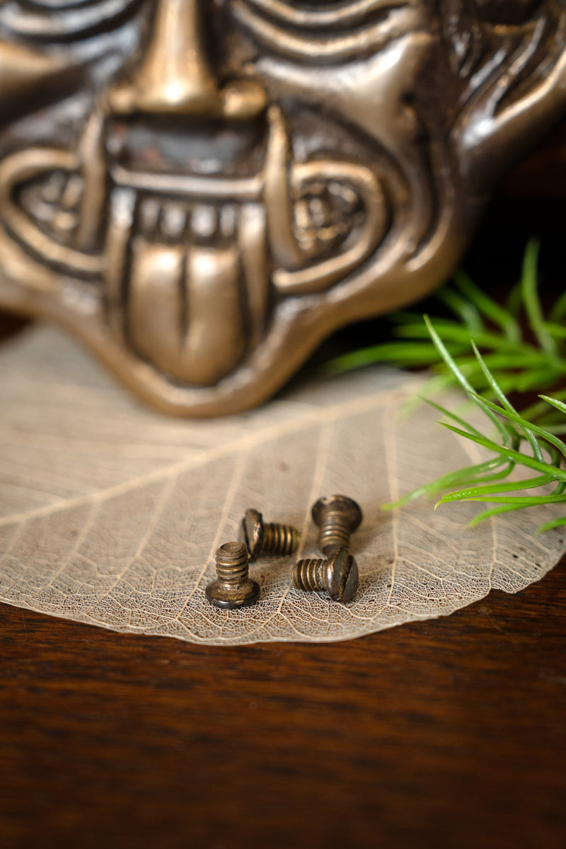 Greek Gorgon fitting