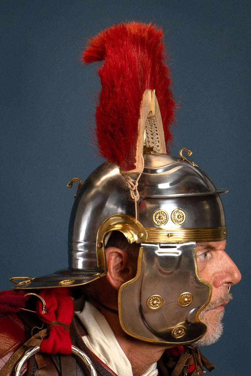 Romeinse helmkam, rood