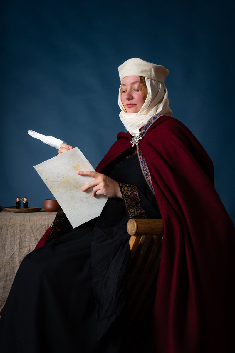 Ganzenveren set van 10