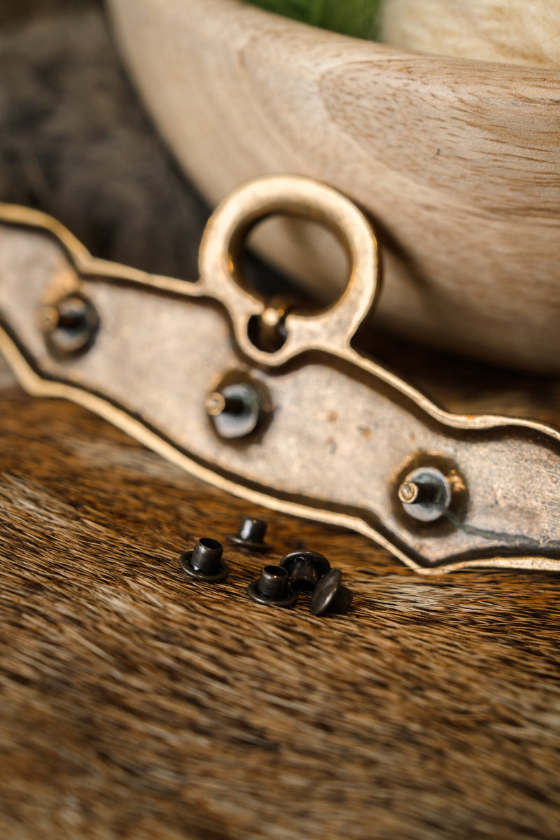 Merowingisches Taschenbeschlag Elgg 