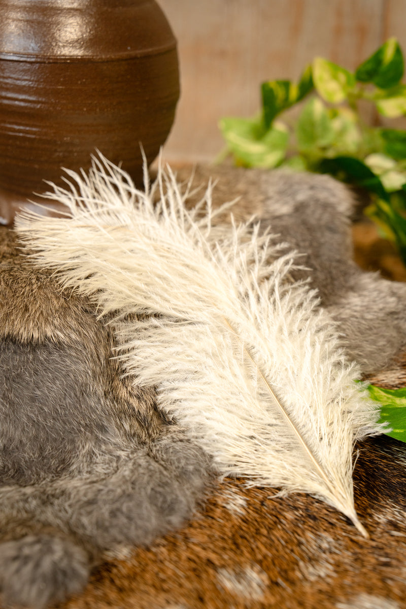 Pluma crema, 20-25 cm 