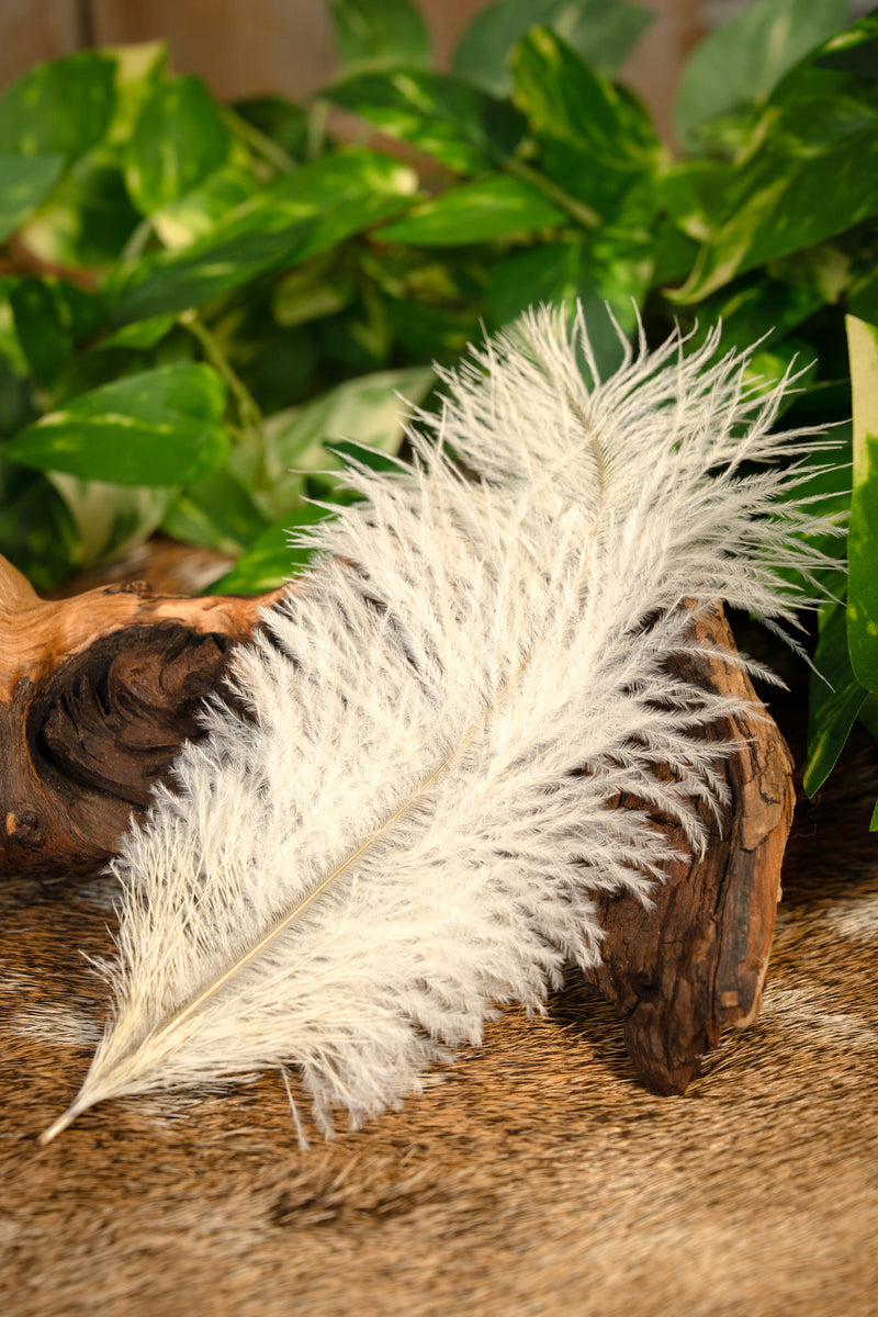 Creme veer, 20-25 cm