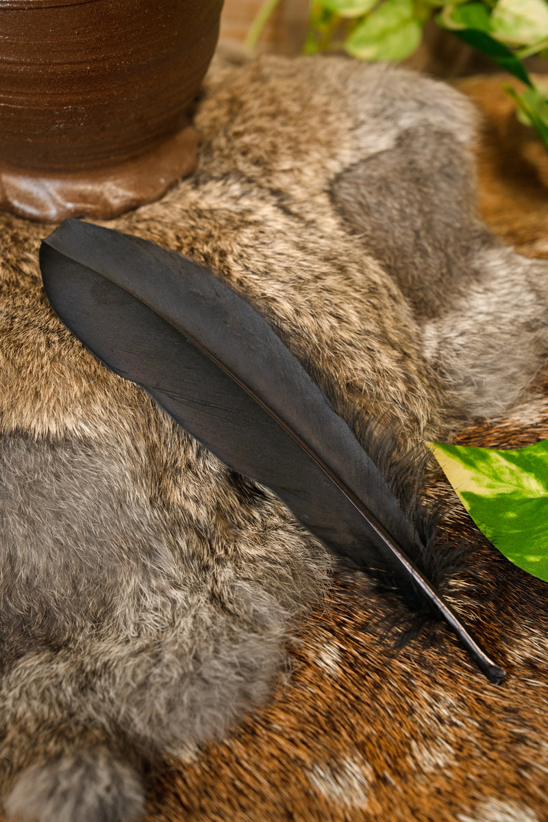 Ganzenveer zwart, 15-21 cm