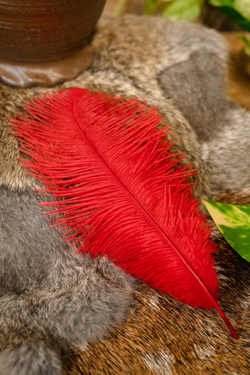 Rote Quelle, 20-25 cm