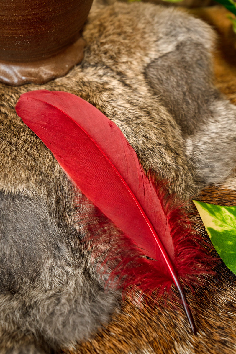 Ganzenveer rood, 15-21 cm