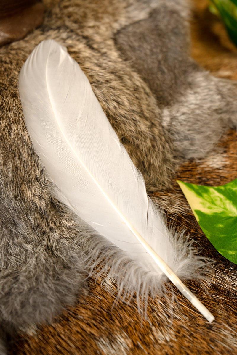 Ganzenveer White, 15-21 cm