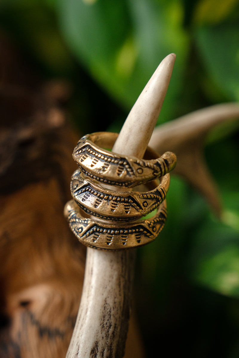 IJzertijdring Himlingoje, brons