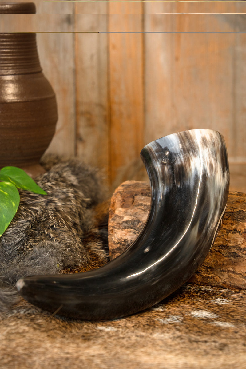 Paganiste corne à boire, 300-500 ml 