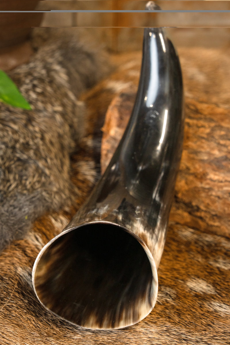 Paganiste corne à boire, 300-500 ml 