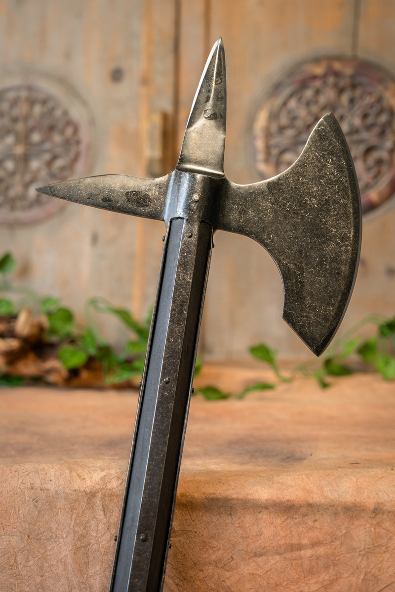 kampøkse Orleans, skarp 