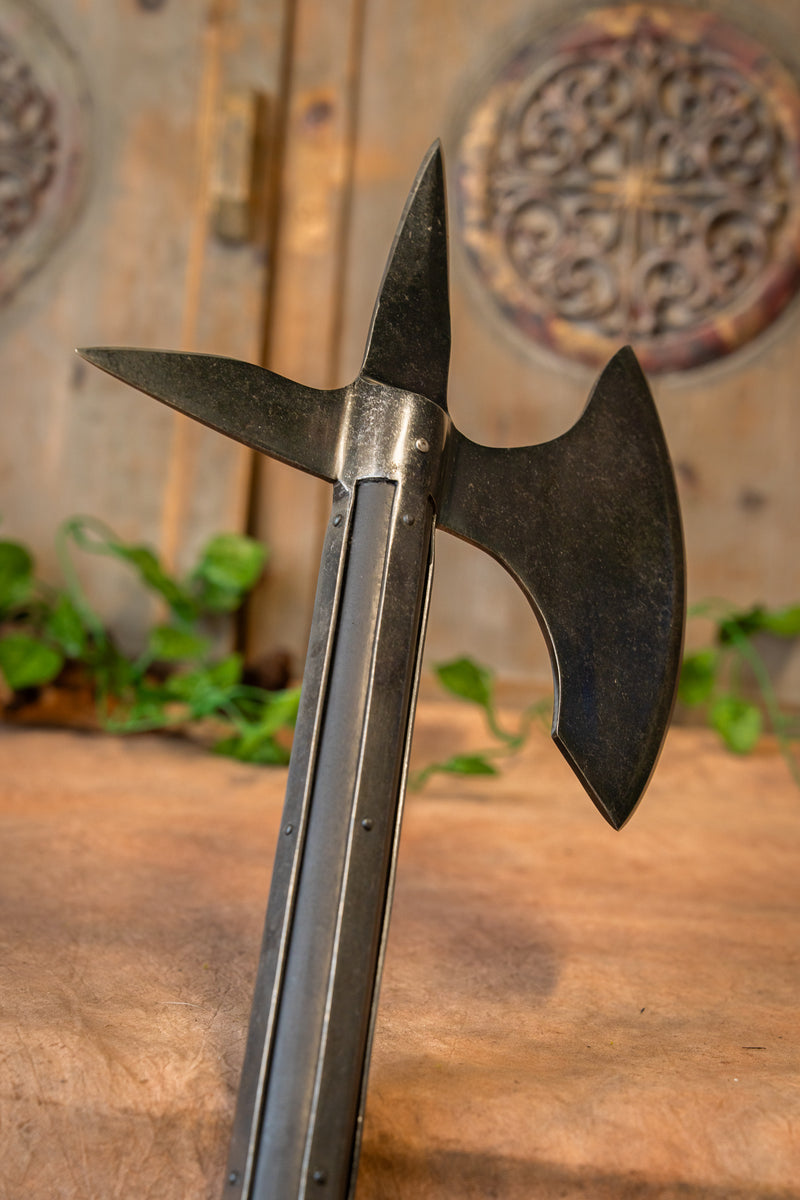 kampøkse Orleans, skarp 