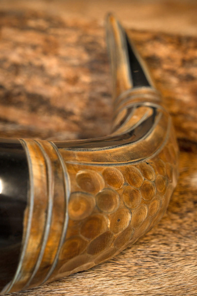 Draken Trinkhorn, 500-650 ml 