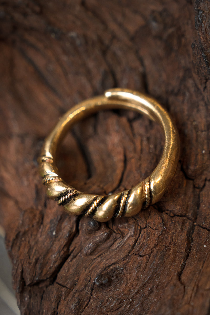 Vikingring Danelaw, bronze