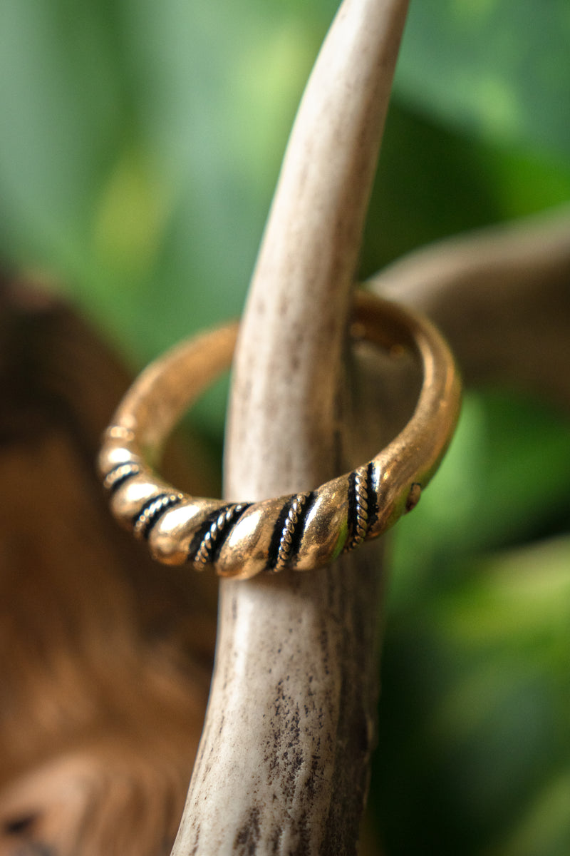 Vikingring Danelaw, bronze