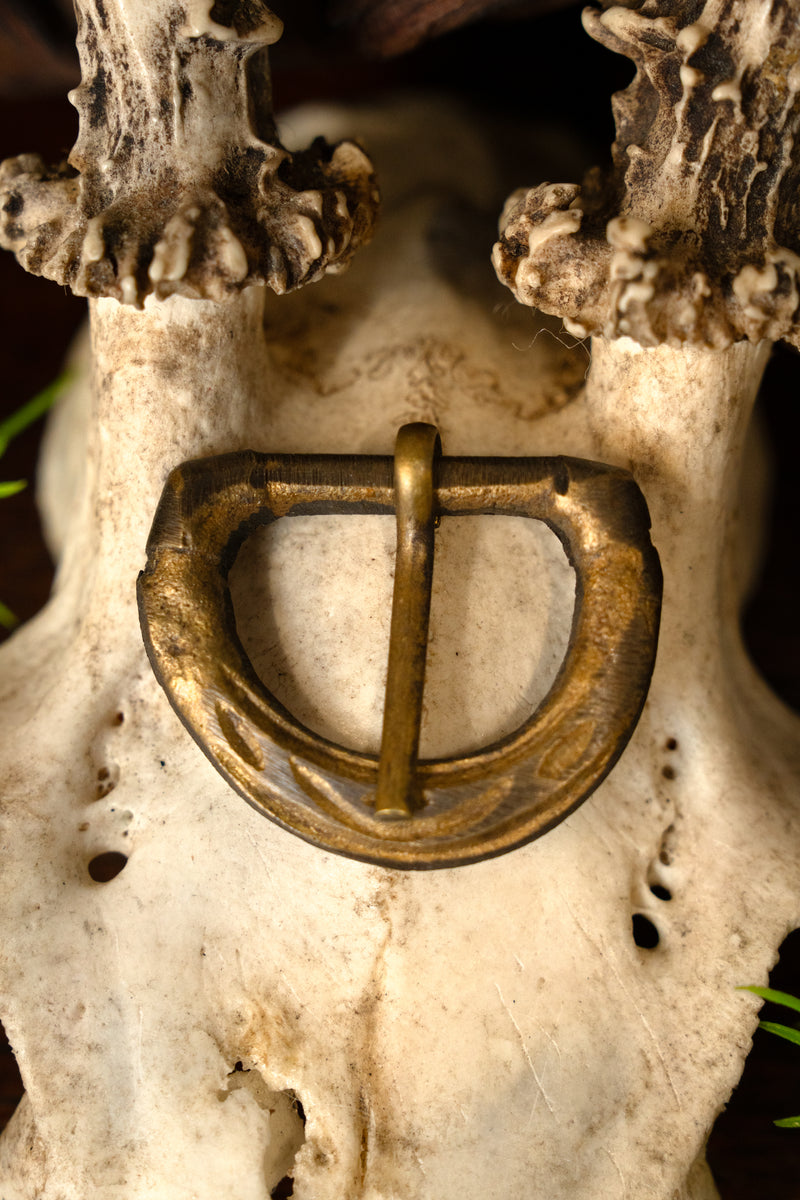 Normandiska bältesspänne 