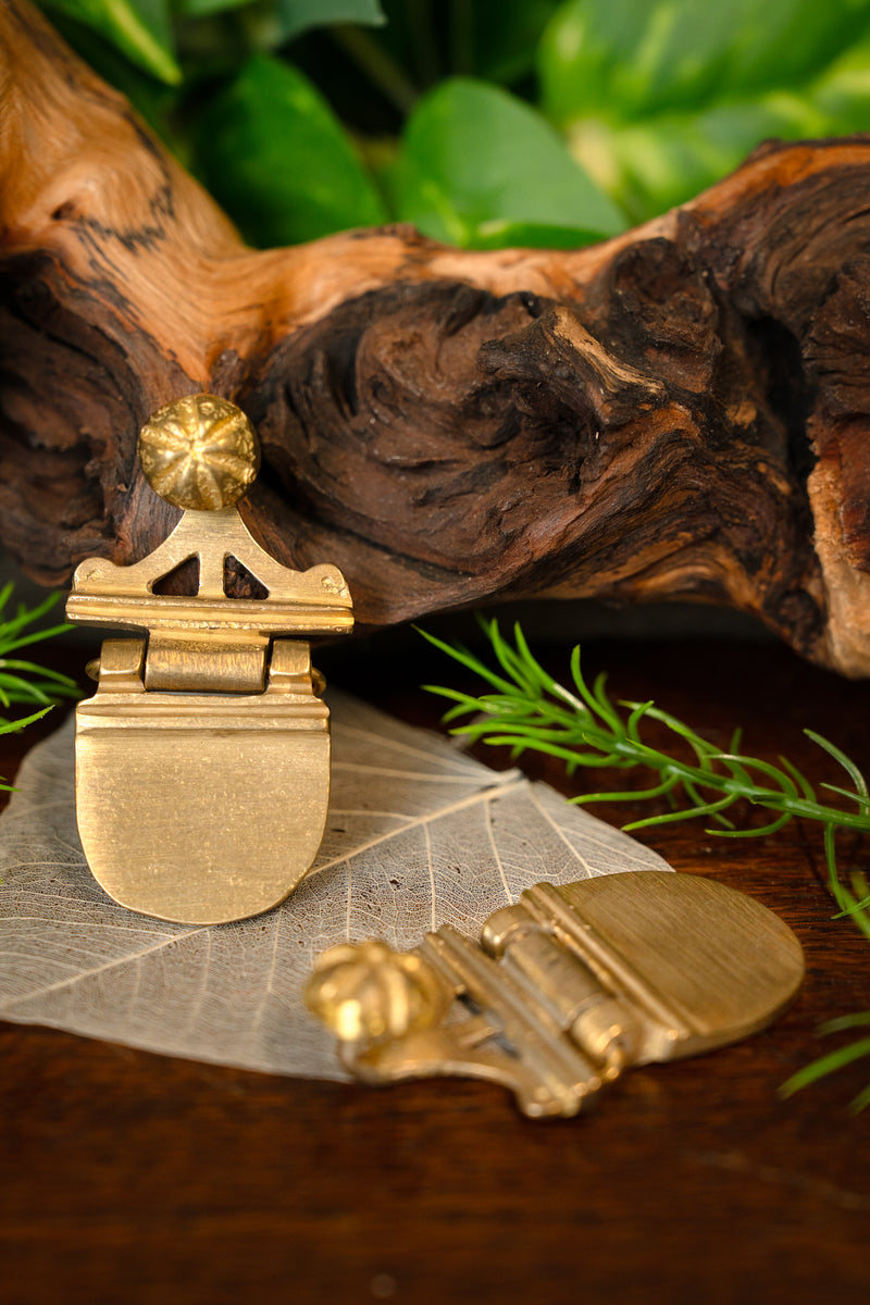 Ophanging voor pugio