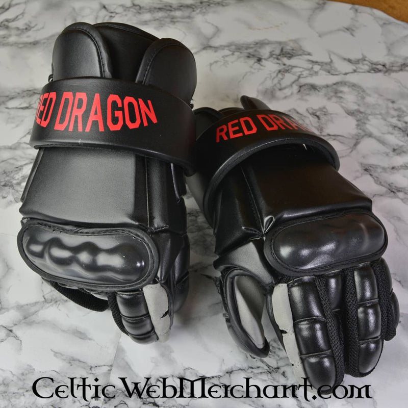 Svärdfäktningshandskar L 