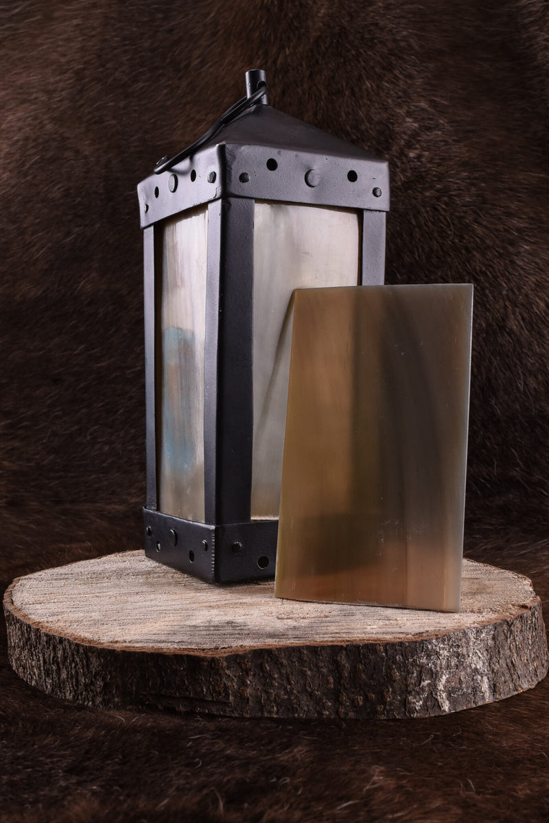 Hornplatte 12 x 7 cm 