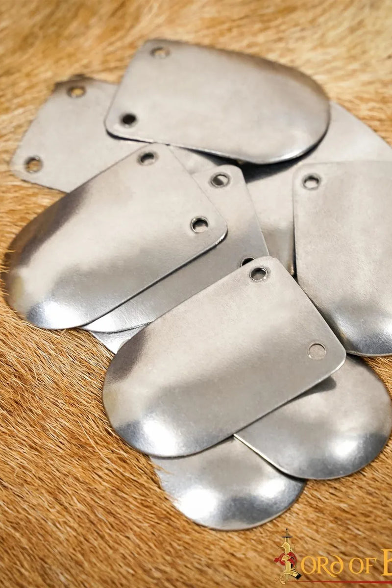 Early Medieval scale armor, 100x